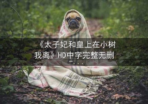 《太子妃和皇上在小树我离》HD中字完整无删 - 揭秘宫廷禁忌之恋的终极代价