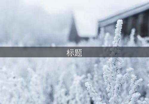 标题