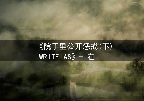 《院子里公开惩戒(下)WRITE.AS》- 在线观看 - 当秘密在阳光下燃烧,谁能全身而退?