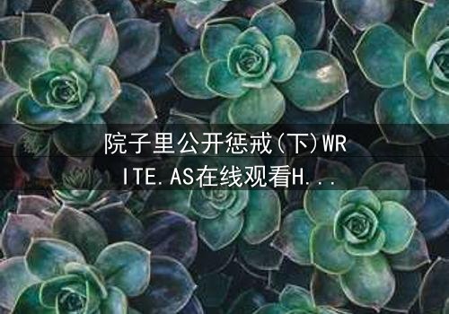院子里公开惩戒(下)WRITE.AS在线观看HD中字 - 完整无删版震撼上线,揭露家族秘密的终极审判