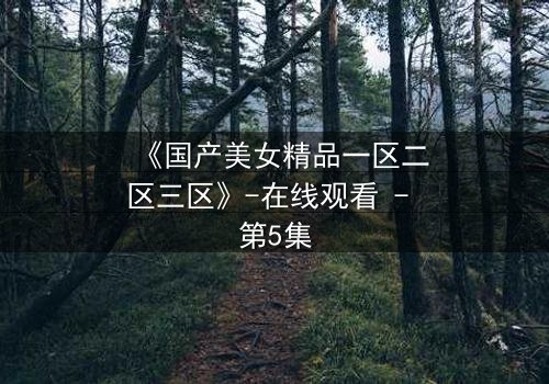 《国产美女精品一区二区三区》-在线观看 - 第5集