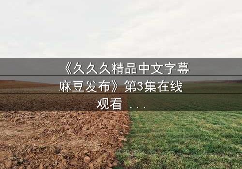 《久久久精品中文字幕麻豆发布》第3集在线观看 - 当欲望与良知在午夜交锋