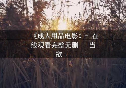 《成人用品电影》- 在线观看完整无删 - 当欲望与道德在午夜交锋